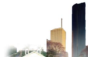 Umair Estate Agency